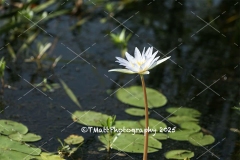 527A6593-copy-2