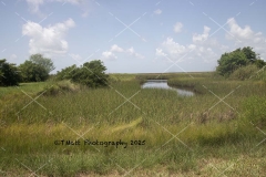 IMG_0638-copy-2