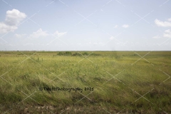 IMG_0639-copy