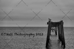 Biloxi