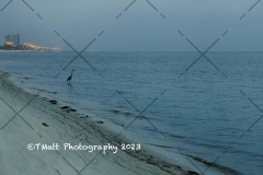 Gulfport