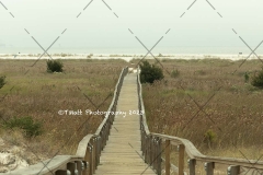 Dauphin Island