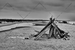 Dauphin Island
