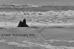 Dauphin Island