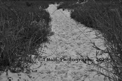 Dauphin Island