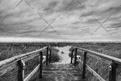 Dauphine Island