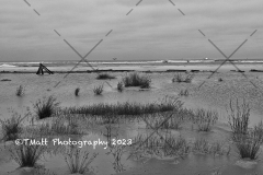 Dauphin Island