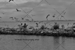 Gulfport